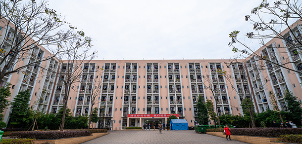 我的大學(xué)-大學(xué)志