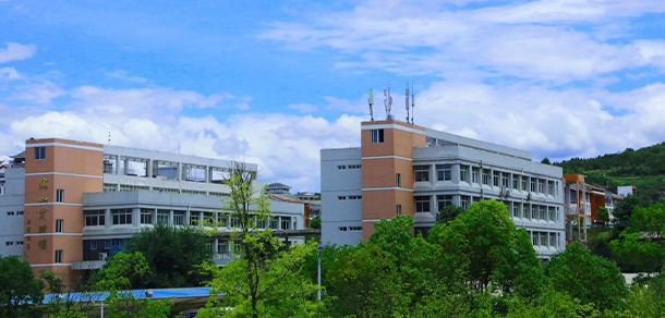 我的大學(xué)-大學(xué)志