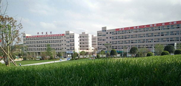 我的大學(xué)-大學(xué)志