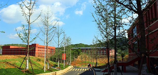 我的大學(xué)-大學(xué)志