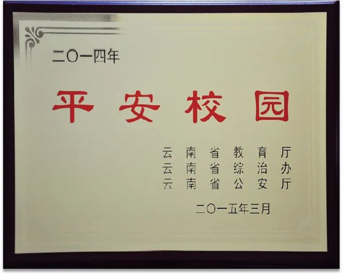 麗江文化旅游學(xué)院（原云南大學(xué)旅游文化學(xué)院）2022年?？普猩?jiǎn)章