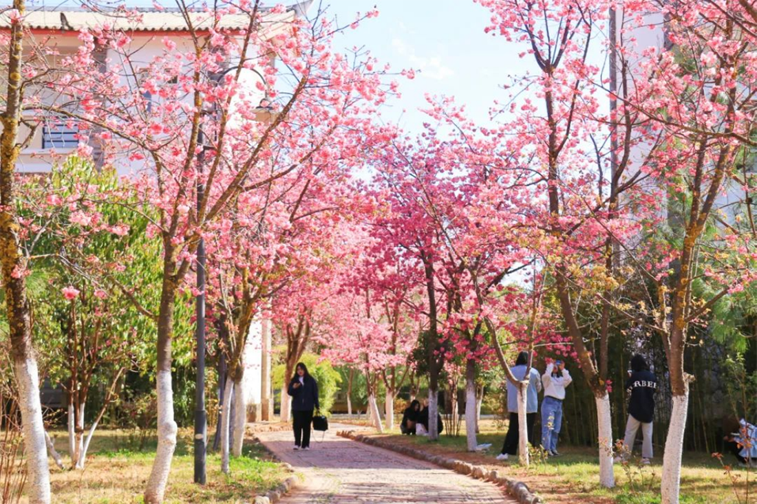麗江文化旅游學(xué)院（原云南大學(xué)旅游文化學(xué)院）2022年專科招生簡(jiǎn)章
