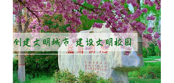 我的大學(xué)-大學(xué)志