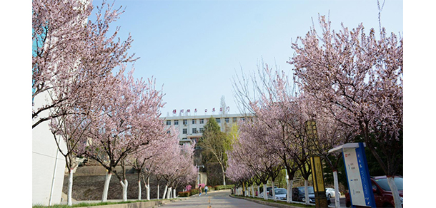 我的大學-大學志