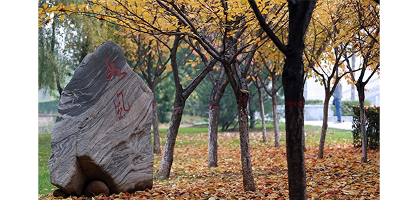 我的大學-大學志