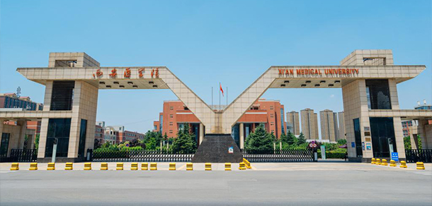 我的大學(xué)-大學(xué)志