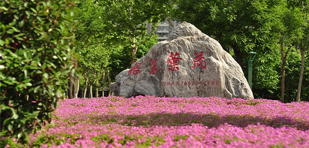 我的大學-大學志