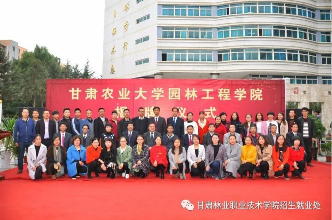 升學途徑二：本科教育