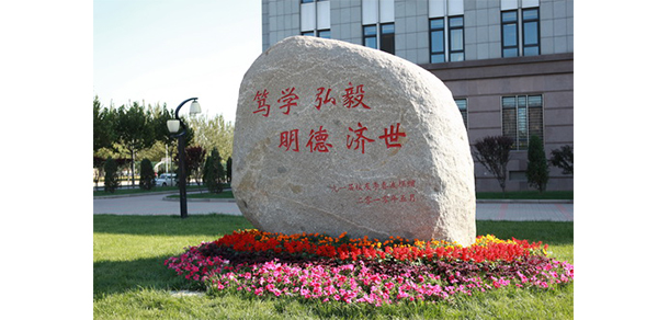 我的大學(xué)-大學(xué)志