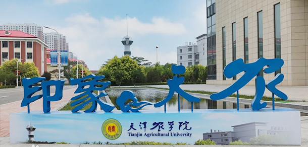 我的大學-大學志