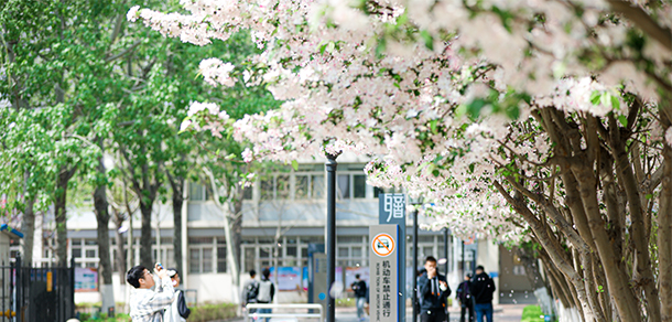 天津市職業(yè)大學(xué) - 最美大學(xué)