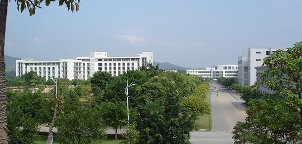 我的大學(xué)-大學(xué)志