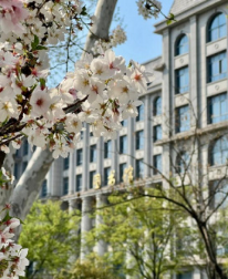 新疆天山職業(yè)技術(shù)大學(xué)
