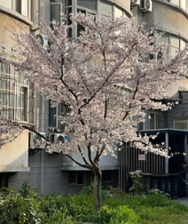 新疆天山職業(yè)技術(shù)大學(xué)