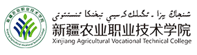 2021年-2024年高考招生資訊