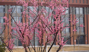 河北工程大學-校園風光