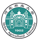 中國最美大學(xué)