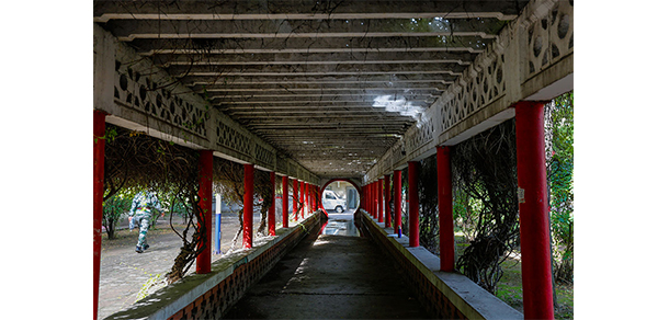 山西財經(jīng)大學(xué) - 最美大學(xué)