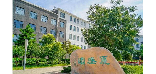 我的大學(xué)-大學(xué)志