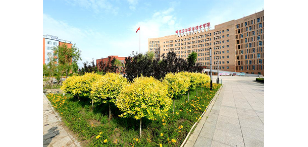 我的大學(xué)-大學(xué)志