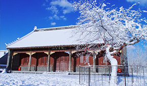 沈陽建筑大學-校園風光