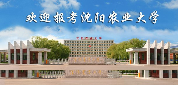 我的大學-大學志