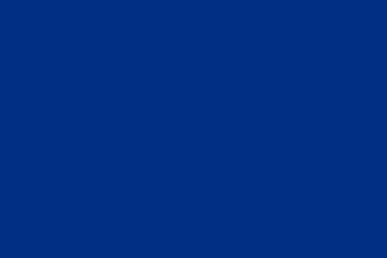 大連外國(guó)語(yǔ)大學(xué)校色