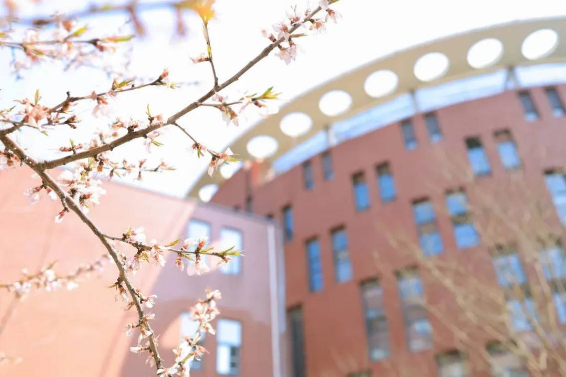 大連科技學院