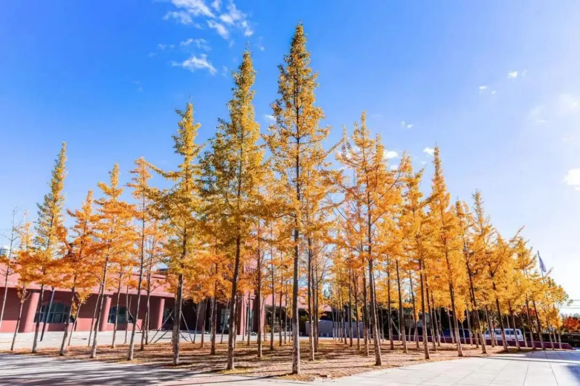 大連科技學院