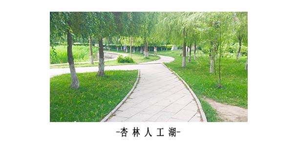 遼寧中醫(yī)藥大學杏林學院 - 最美院校