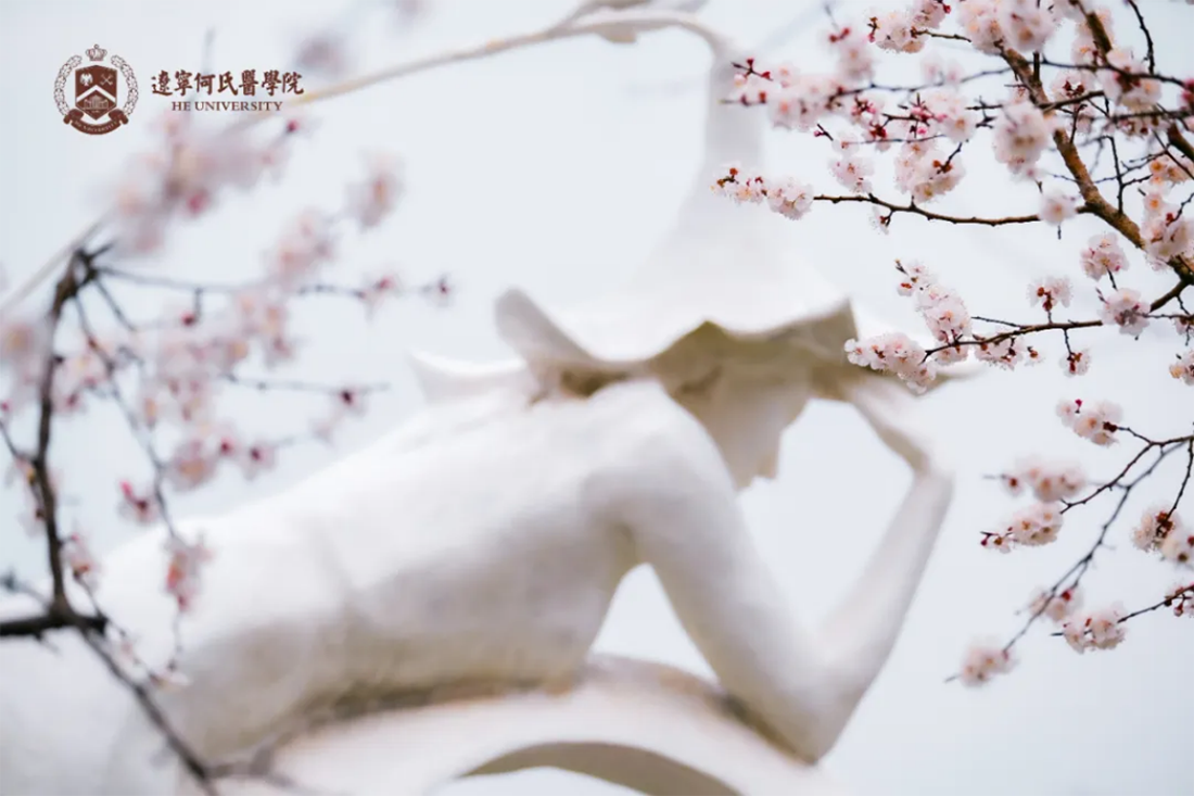 花事正盛，何氏的春天“鏡”這么美！