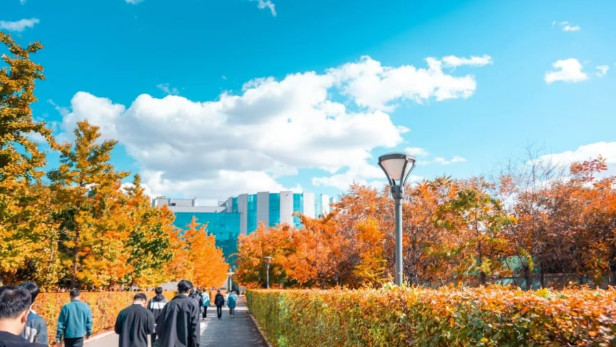 沈陽科技學院2025年