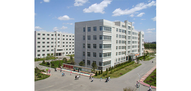 我的大學(xué)-大學(xué)志