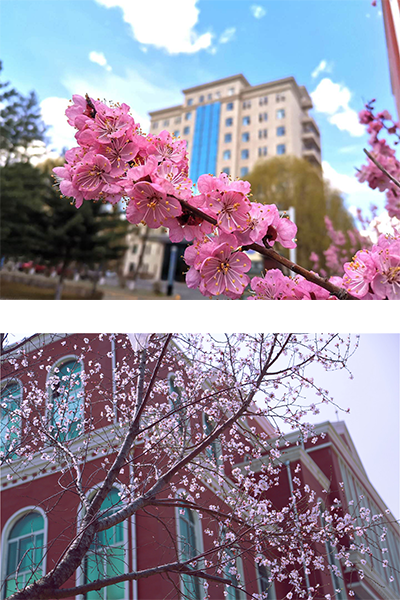 長春光華學院