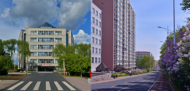 我的大學-大學志