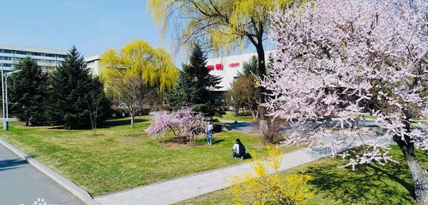 東北農(nóng)業(yè)大學(xué) - 最美院校