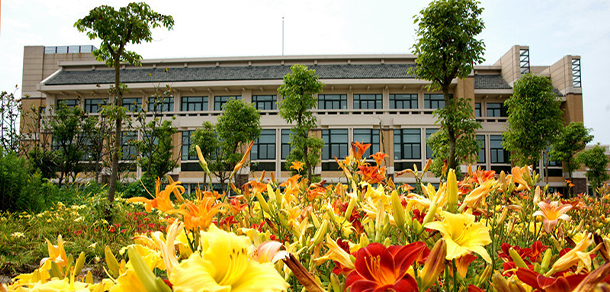 我的大學(xué)-大學(xué)志