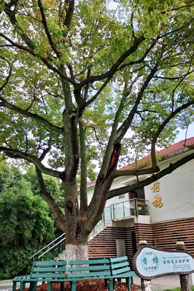 上海邦德職業(yè)技術(shù)學院